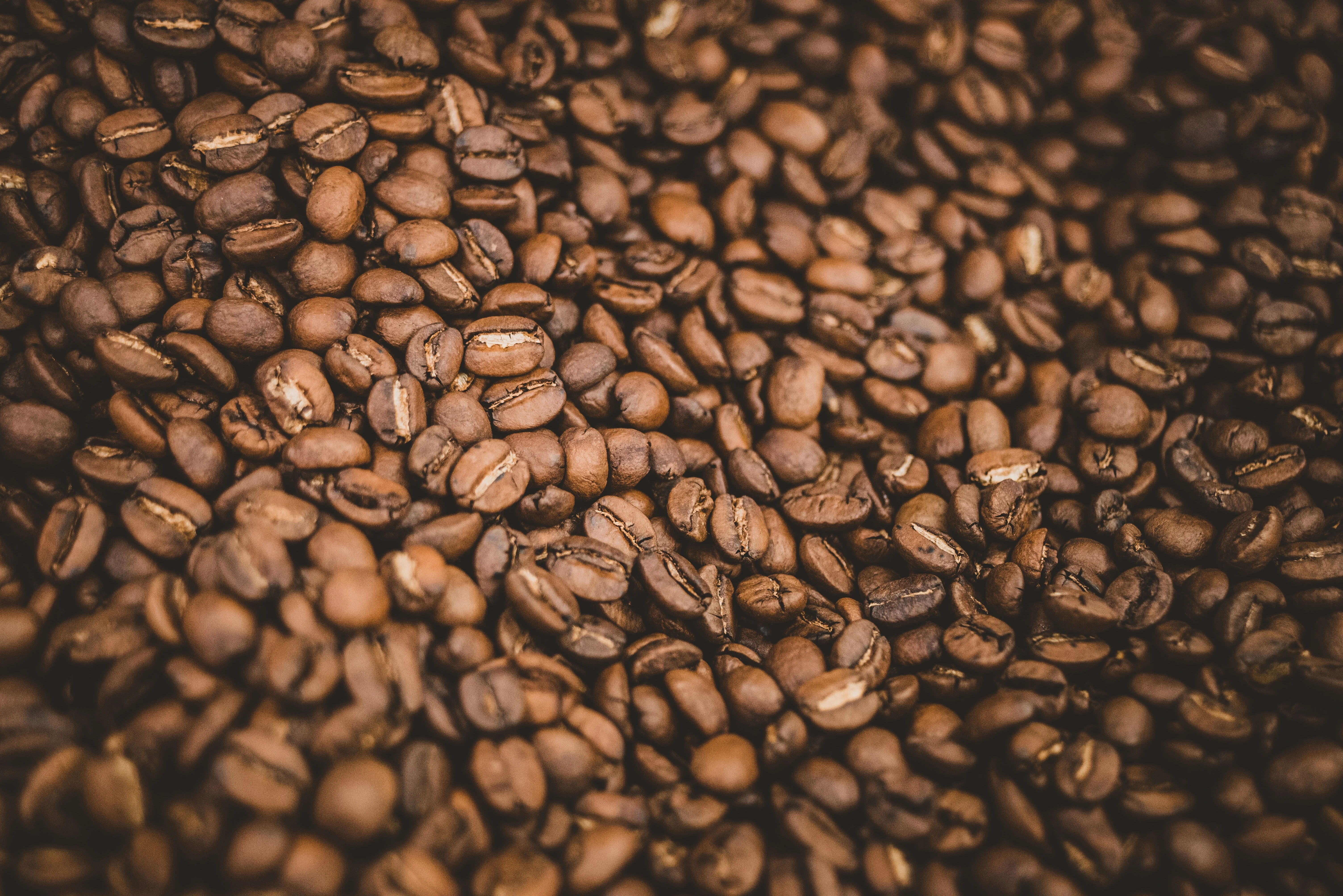 berg koffiebonen